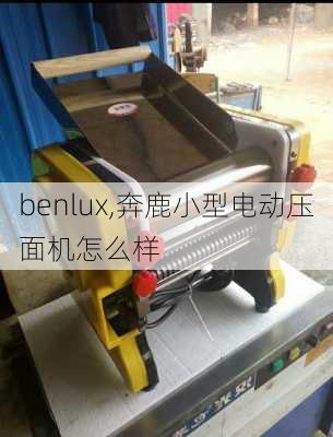 benlux,奔鹿小型电动压面机怎么样-第3张图片-猪头旅行网