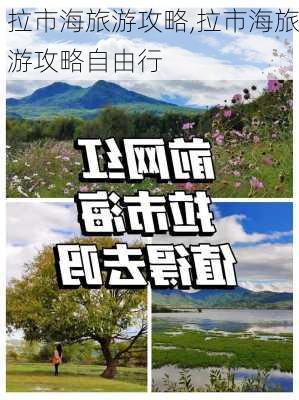 拉市海旅游攻略,拉市海旅游攻略自由行-第3张图片-猪头旅行网