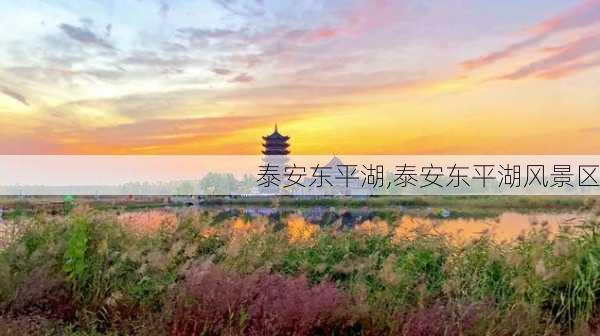 泰安东平湖,泰安东平湖风景区