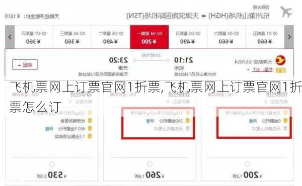 飞机票网上订票官网1折票,飞机票网上订票官网1折票怎么订-第2张图片-猪头旅行网