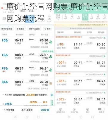 廉价航空官网购票,廉价航空官网购票流程-第3张图片-猪头旅行网