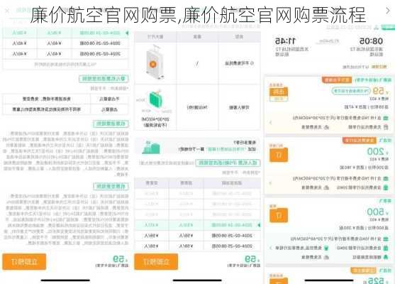 廉价航空官网购票,廉价航空官网购票流程