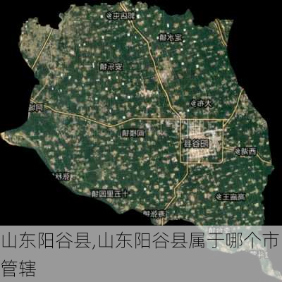 山东阳谷县,山东阳谷县属于哪个市管辖-第3张图片-猪头旅行网