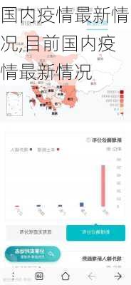 国内疫情最新情况,目前国内疫情最新情况-第3张图片-猪头旅行网