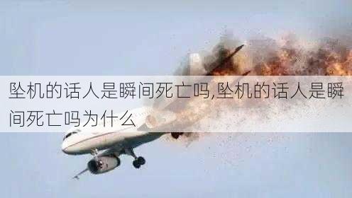 坠机的话人是瞬间死亡吗,坠机的话人是瞬间死亡吗为什么-第1张图片-猪头旅行网