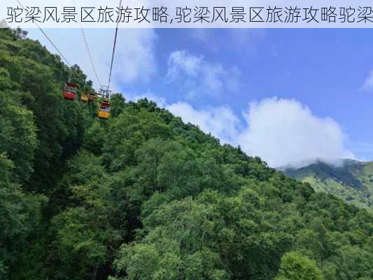 驼梁风景区旅游攻略,驼梁风景区旅游攻略驼梁-第1张图片-猪头旅行网