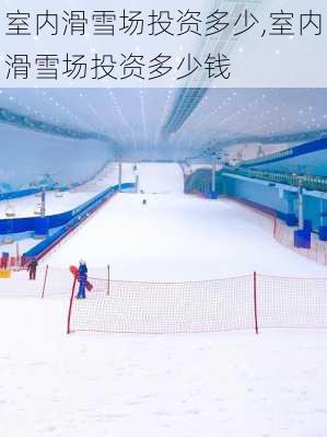 室内滑雪场投资多少,室内滑雪场投资多少钱