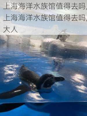 上海海洋水族馆值得去吗,上海海洋水族馆值得去吗,大人-第1张图片-猪头旅行网