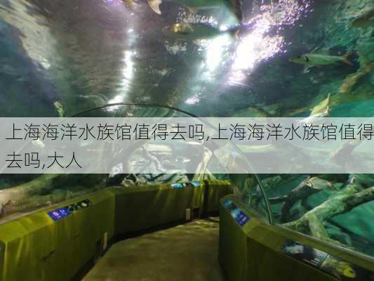 上海海洋水族馆值得去吗,上海海洋水族馆值得去吗,大人-第3张图片-猪头旅行网