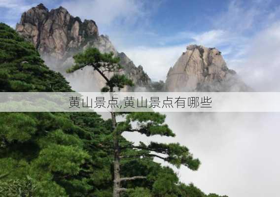 黄山景点,黄山景点有哪些-第2张图片-猪头旅行网