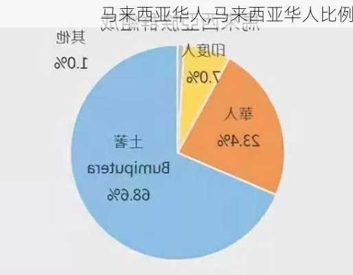 马来西亚华人,马来西亚华人比例-第1张图片-猪头旅行网