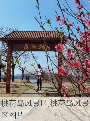 桃花岛风景区,桃花岛风景区图片