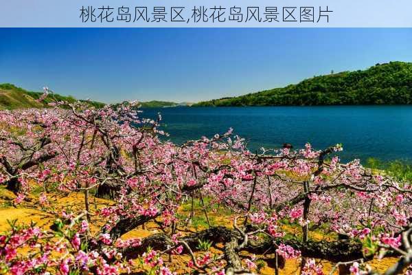 桃花岛风景区,桃花岛风景区图片-第2张图片-猪头旅行网