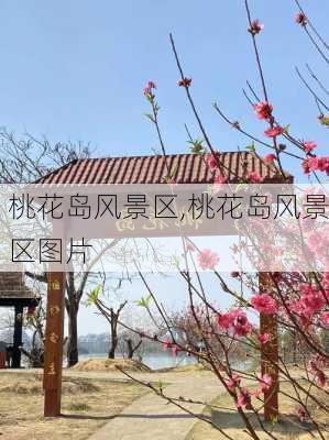 桃花岛风景区,桃花岛风景区图片-第3张图片-猪头旅行网