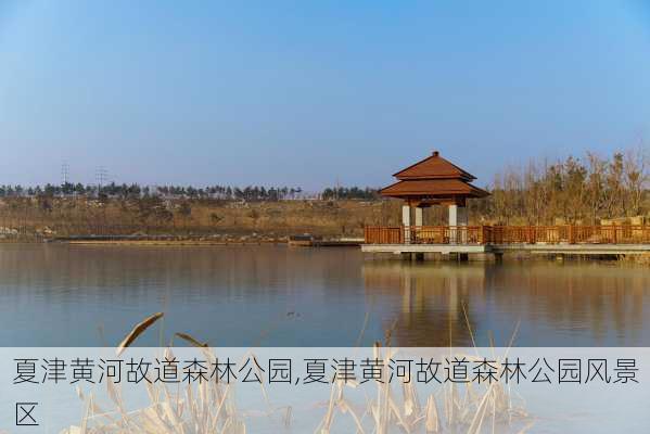 夏津黄河故道森林公园,夏津黄河故道森林公园风景区-第1张图片-猪头旅行网