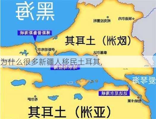 为什么很多新疆人移民土耳其,-第2张图片-猪头旅行网