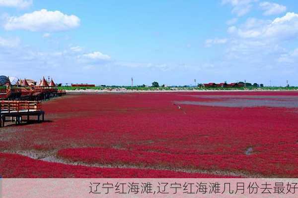 辽宁红海滩,辽宁红海滩几月份去最好-第3张图片-猪头旅行网