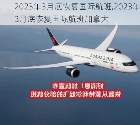 2023年3月底恢复国际航班,2023年3月底恢复国际航班加拿大-第1张图片-猪头旅行网