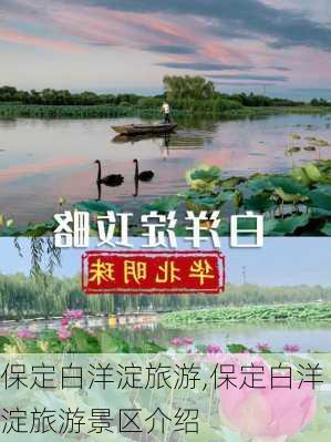 保定白洋淀旅游,保定白洋淀旅游景区介绍-第2张图片-猪头旅行网