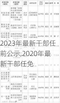 2023年最新干部任前公示,2020年最新干部任免