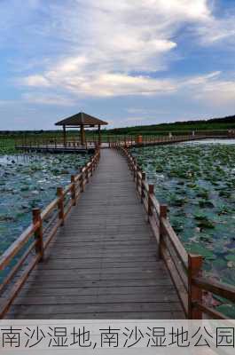 南沙湿地,南沙湿地公园-第1张图片-猪头旅行网