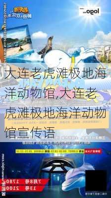 大连老虎滩极地海洋动物馆,大连老虎滩极地海洋动物馆宣传语