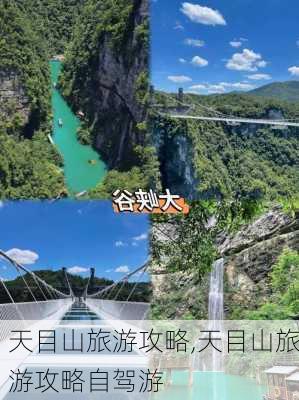 天目山旅游攻略,天目山旅游攻略自驾游-第1张图片-猪头旅行网