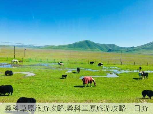 桑科草原旅游攻略,桑科草原旅游攻略一日游