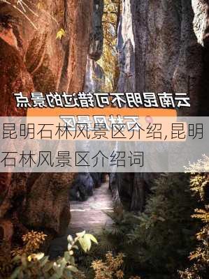 昆明石林风景区介绍,昆明石林风景区介绍词-第2张图片-猪头旅行网