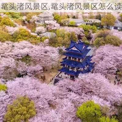 鼋头渚风景区,鼋头渚风景区怎么读-第1张图片-猪头旅行网