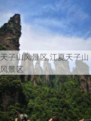 天子山风景区,江夏天子山风景区-第2张图片-猪头旅行网