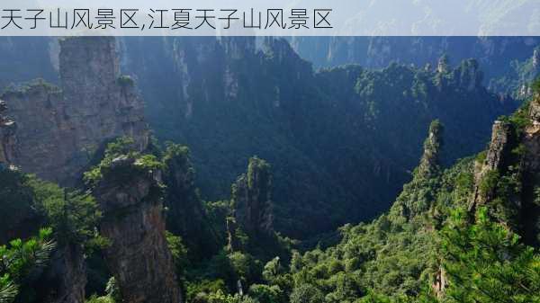 天子山风景区,江夏天子山风景区-第1张图片-猪头旅行网