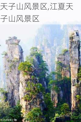 天子山风景区,江夏天子山风景区-第3张图片-猪头旅行网