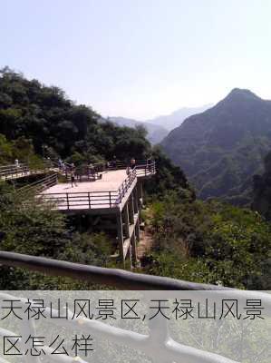 天禄山风景区,天禄山风景区怎么样-第3张图片-猪头旅行网