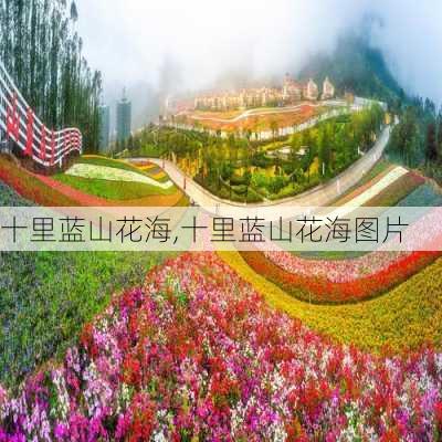 十里蓝山花海,十里蓝山花海图片-第1张图片-猪头旅行网