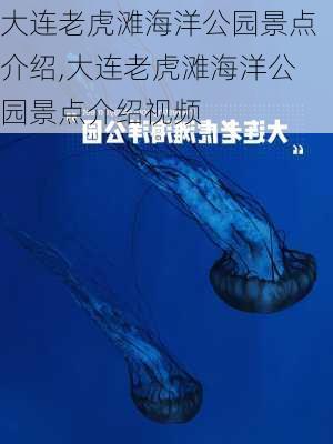 大连老虎滩海洋公园景点介绍,大连老虎滩海洋公园景点介绍视频-第2张图片-猪头旅行网