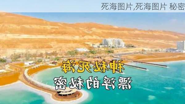 死海图片,死海图片 秘密-第2张图片-猪头旅行网