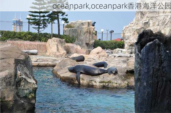 oceanpark,oceanpark香港海洋公园-第2张图片-猪头旅行网