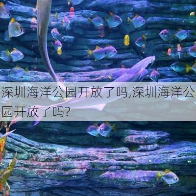 深圳海洋公园开放了吗,深圳海洋公园开放了吗?-第2张图片-猪头旅行网