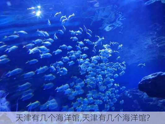 天津有几个海洋馆,天津有几个海洋馆?-第3张图片-猪头旅行网