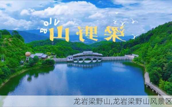 龙岩梁野山,龙岩梁野山风景区-第2张图片-猪头旅行网