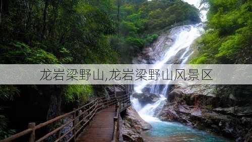 龙岩梁野山,龙岩梁野山风景区-第3张图片-猪头旅行网