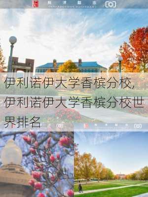 伊利诺伊大学香槟分校,伊利诺伊大学香槟分校世界排名-第2张图片-猪头旅行网