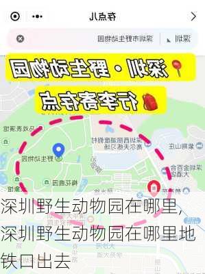 深圳野生动物园在哪里,深圳野生动物园在哪里地铁口出去-第3张图片-猪头旅行网