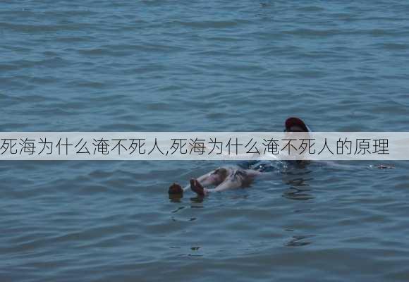 死海为什么淹不死人,死海为什么淹不死人的原理