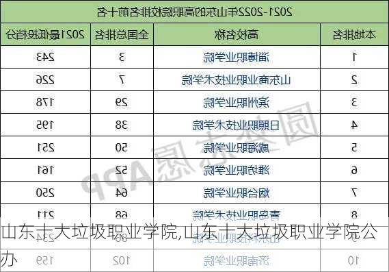 山东十大垃圾职业学院,山东十大垃圾职业学院公办-第3张图片-猪头旅行网