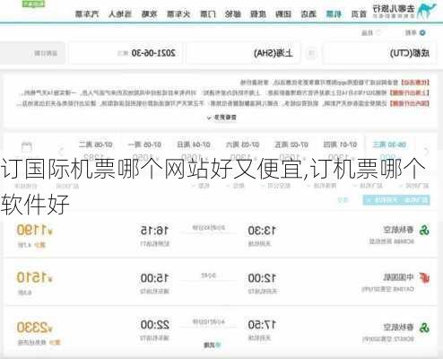 订国际机票哪个网站好又便宜,订机票哪个软件好-第2张图片-猪头旅行网