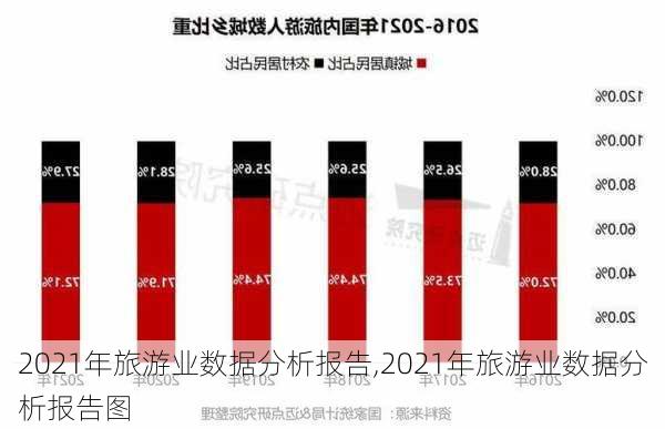 2021年旅游业数据分析报告,2021年旅游业数据分析报告图-第2张图片-猪头旅行网