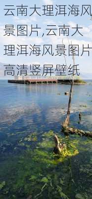 云南大理洱海风景图片,云南大理洱海风景图片高清竖屏壁纸-第3张图片-猪头旅行网