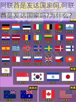 阿联酋是发达国家吗,阿联酋是发达国家吗?为什么?